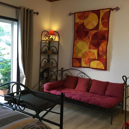 Mas Soleil Et Vignes Bed and Breakfast Saint-Hippolyte  Εξωτερικό φωτογραφία