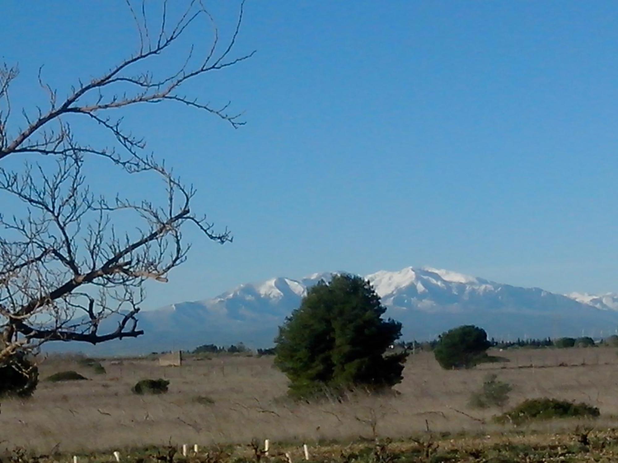 Mas Soleil Et Vignes Bed and Breakfast Saint-Hippolyte  Εξωτερικό φωτογραφία